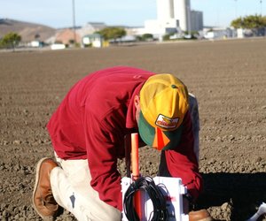 Leveraging Earth Observation Data for Informed Agricultural Decision-Making